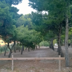 Campeggio Camping La Pineta Village